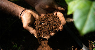 Hands holding rich soil