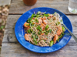 Patagonia Provisions' Soba Noodles and Wild Sockeye Salmon recipe fills a blue plate on a wooden picnic table