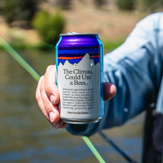 Patagonia Provisions Organic Lager