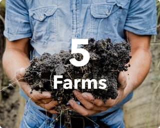 5 Farms