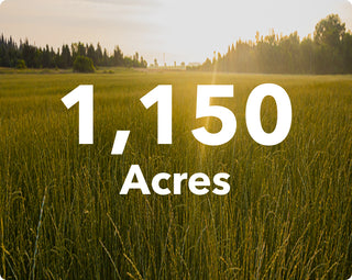 1,150 Acres