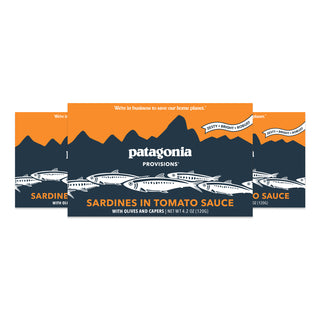 Sardines in Tomato Sauce