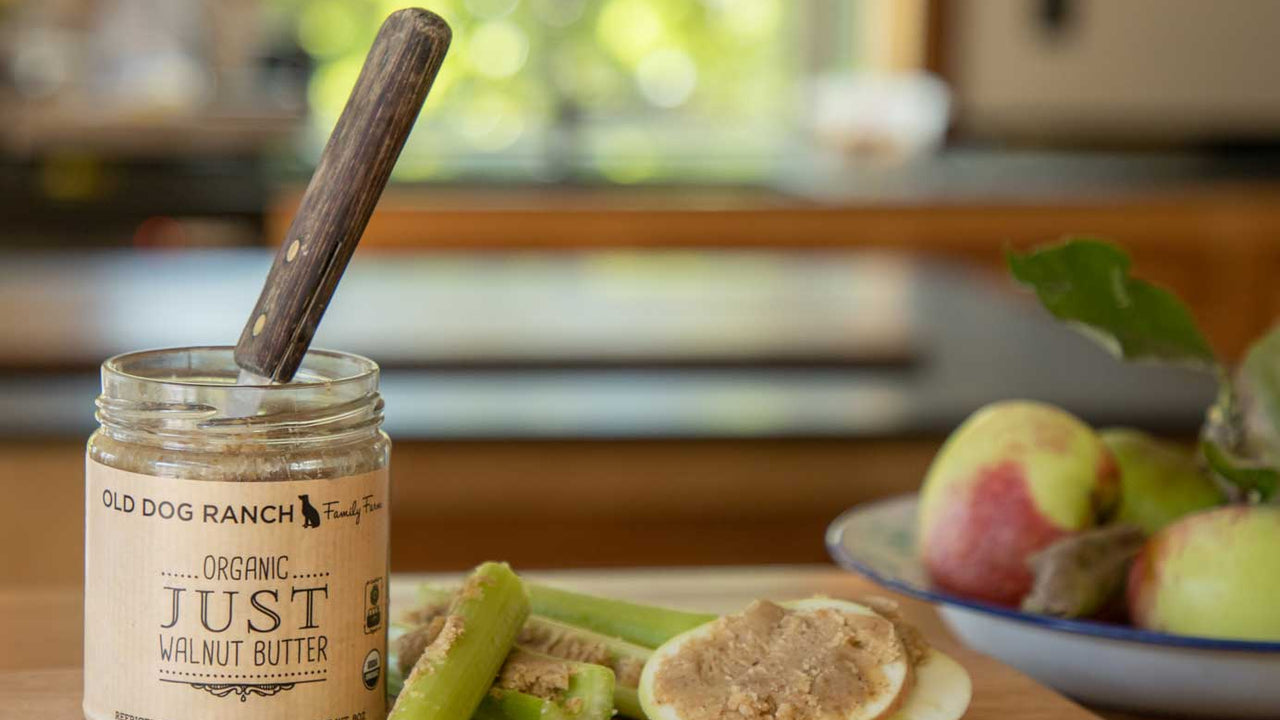 An open jar of Old Dog Ranch Organic Walnut Butter stands next to slices of apple and celery smeared with walnut butter