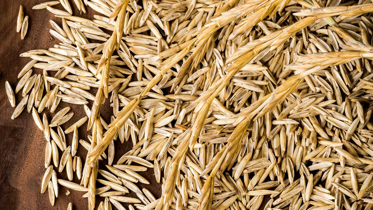 Stalks of Kernza grains and husks on a dark wooden surface