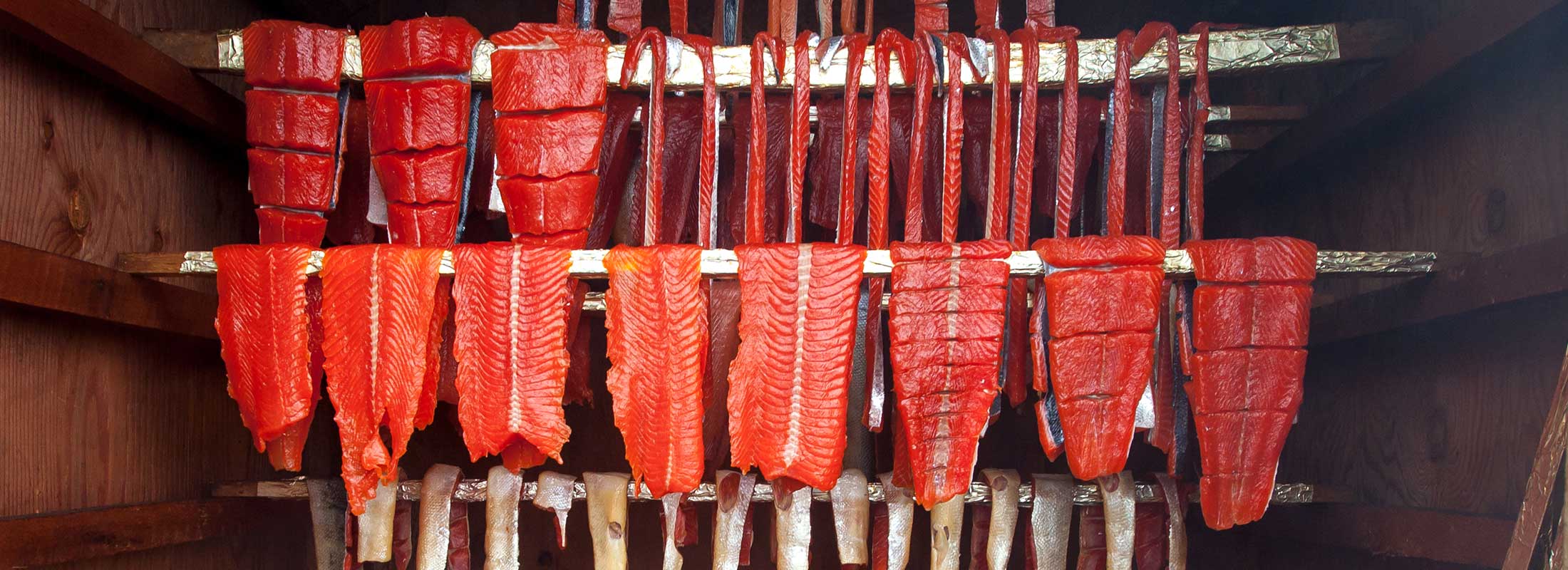 Salmon fillets and pieces curing