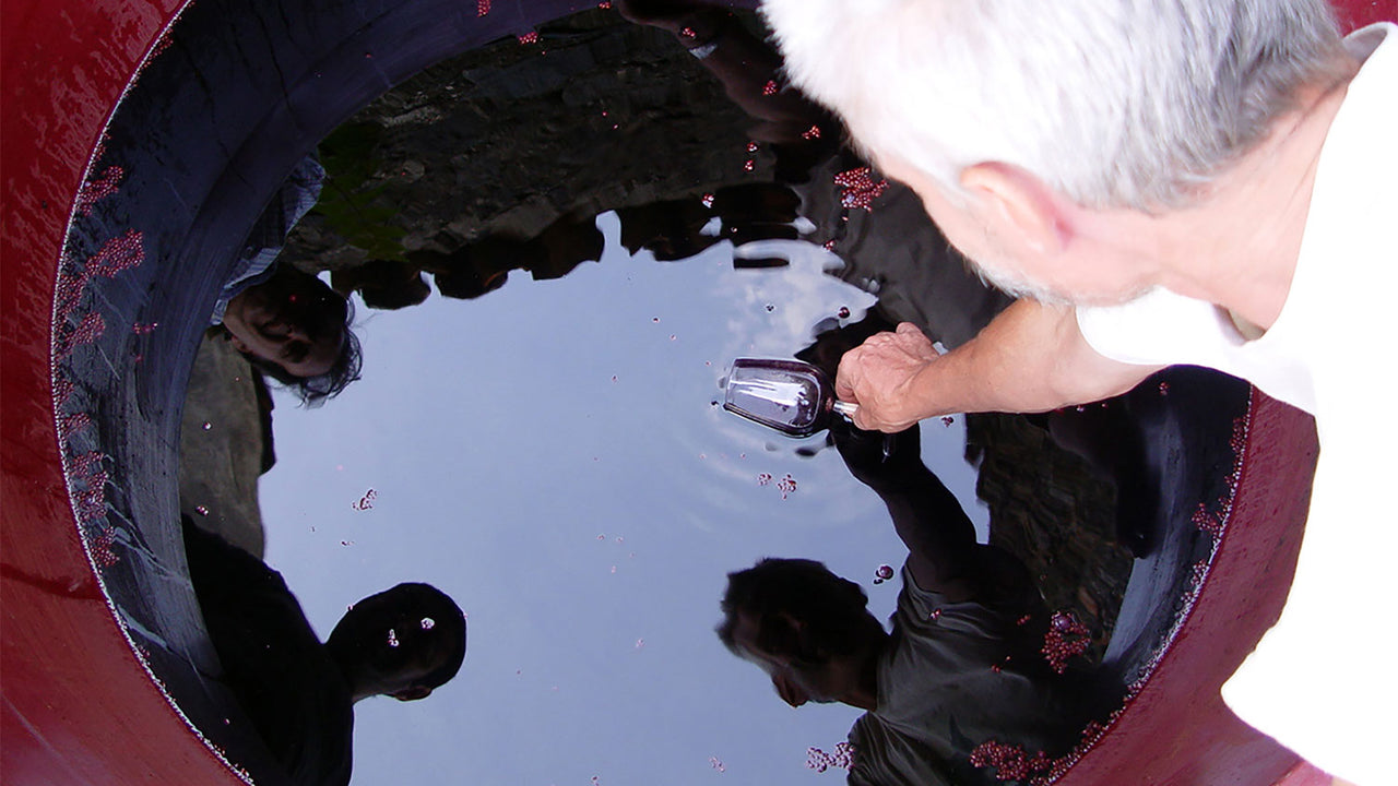 A winemaker dips a glass into a vat of red wine