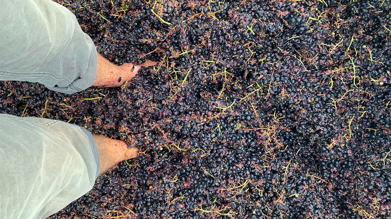 Feet stomping grapes