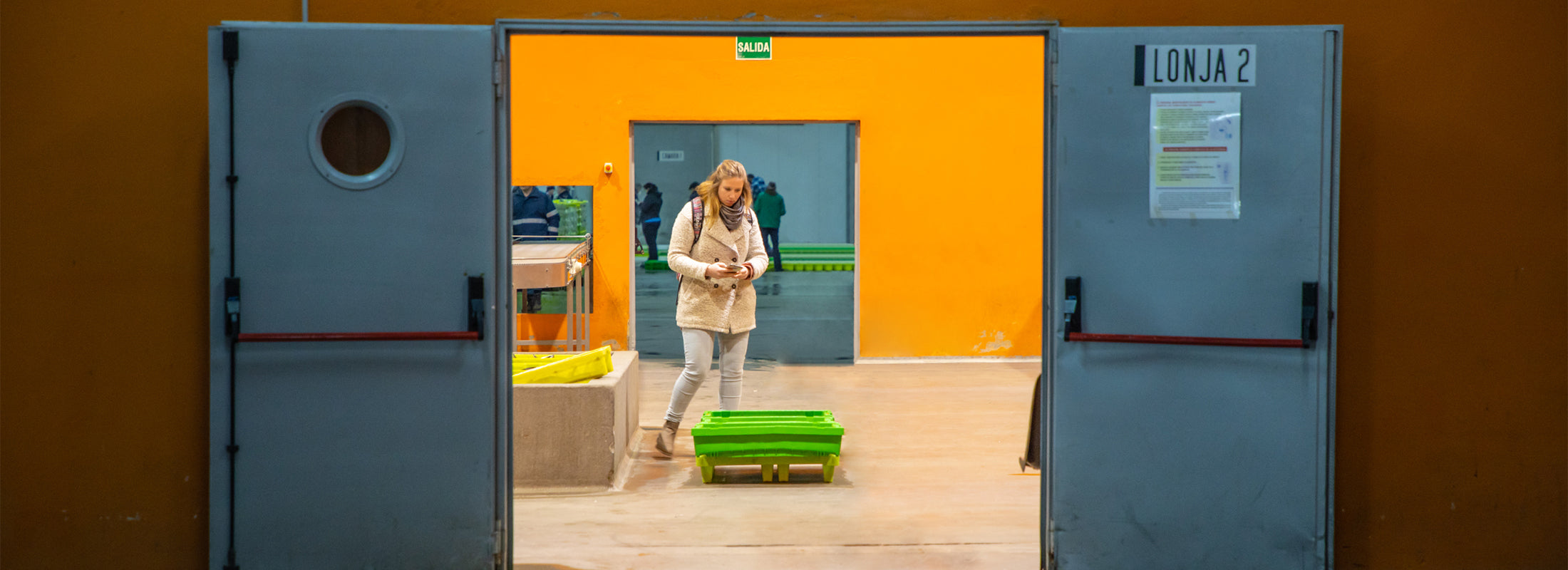 A worker from the Good Fish foundation stands in a warehouse space with yellow walls, inspecting boxes of fish