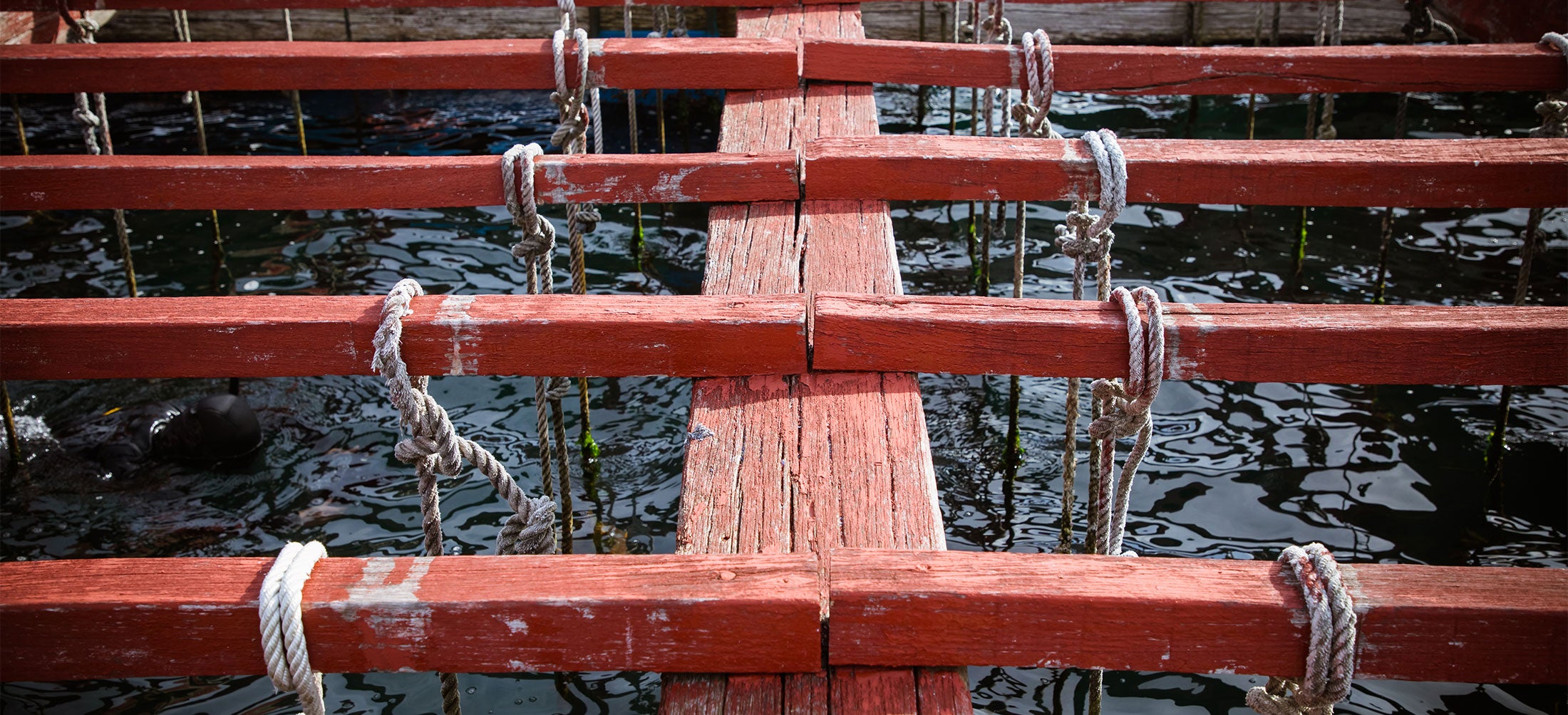 Ropes tied around red wooden beams descend into the sea