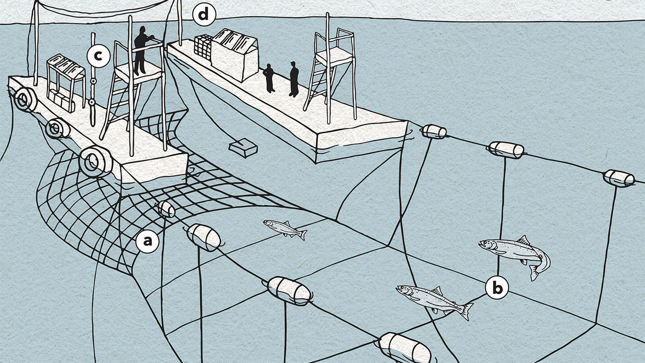 A blue and white illustration of the leaf netting process