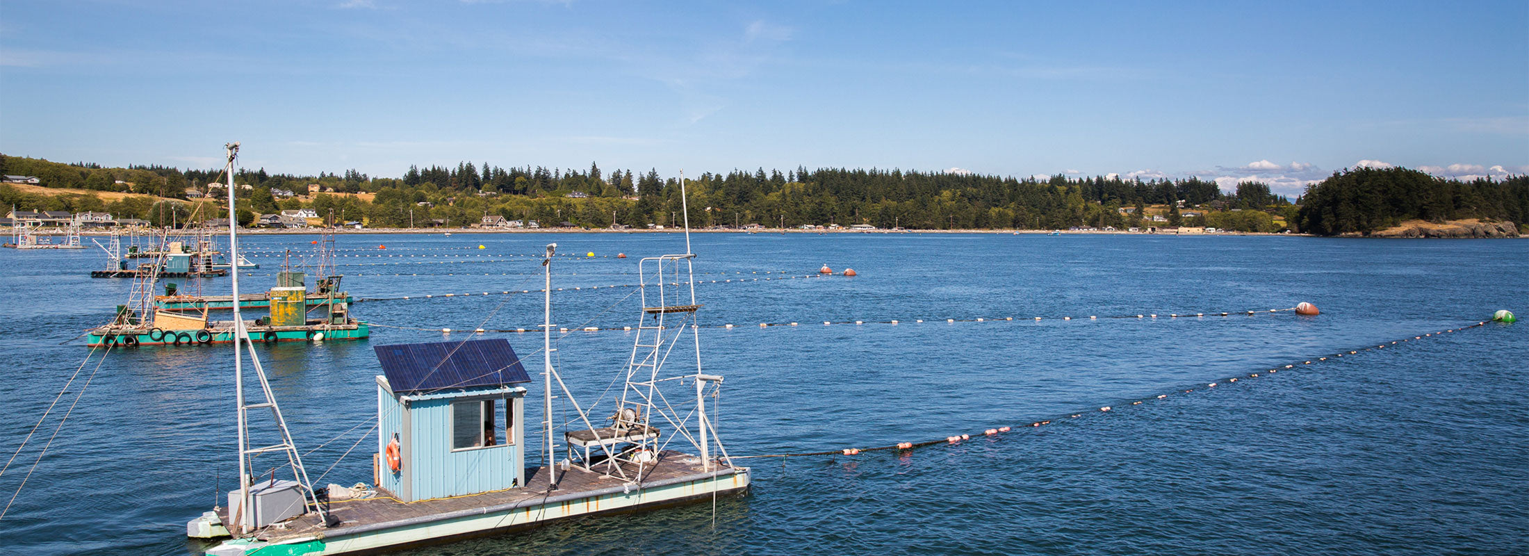 Fishing boats and reef nets in the water along the Lummi Island coast