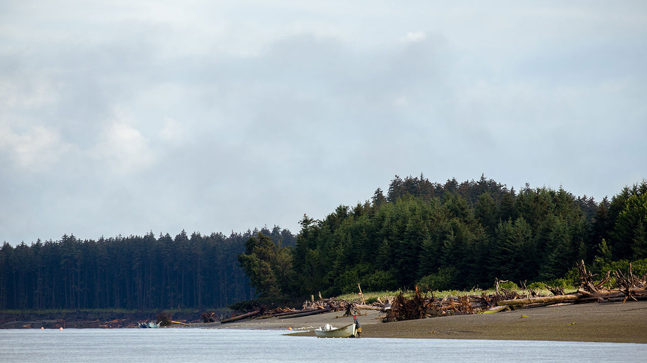Photo of the shoreline in Alaska, taken from the water