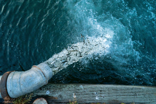 A huge elbow joint pipe spewing out fish into the water