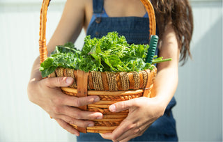 11 Tips for A Healthy Gut Microbiome