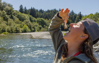 The Nutritional Benefits of Anchovies