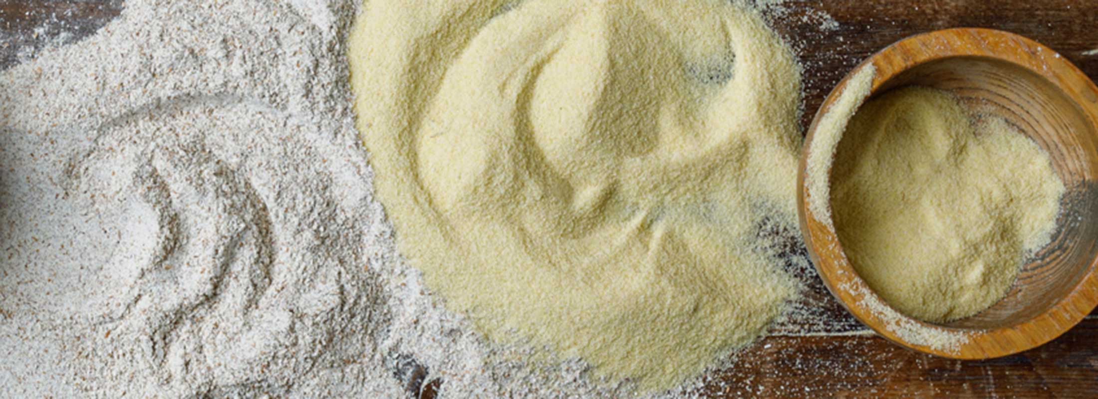 Learn – Patagonia Provisions