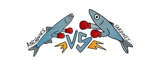 Illustration of a sardine and anchovy boxing