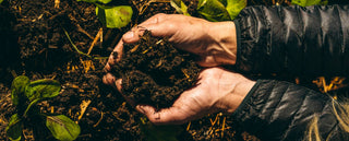 Hands hold a large scoop of rich, composted soil low to the ground in a garden bed