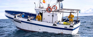 Hook and line boat in the Bay of Biscay, fishing for mackerel