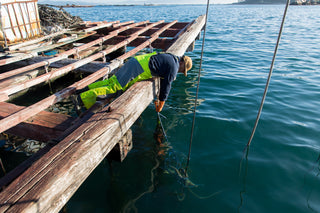 Fisherman lying on edge of dock, pulling on rope
