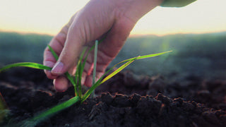Unbroken Ground (Film)