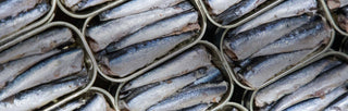 Close shot of open tins of Patagonia Provisions Spanish White Anchovies