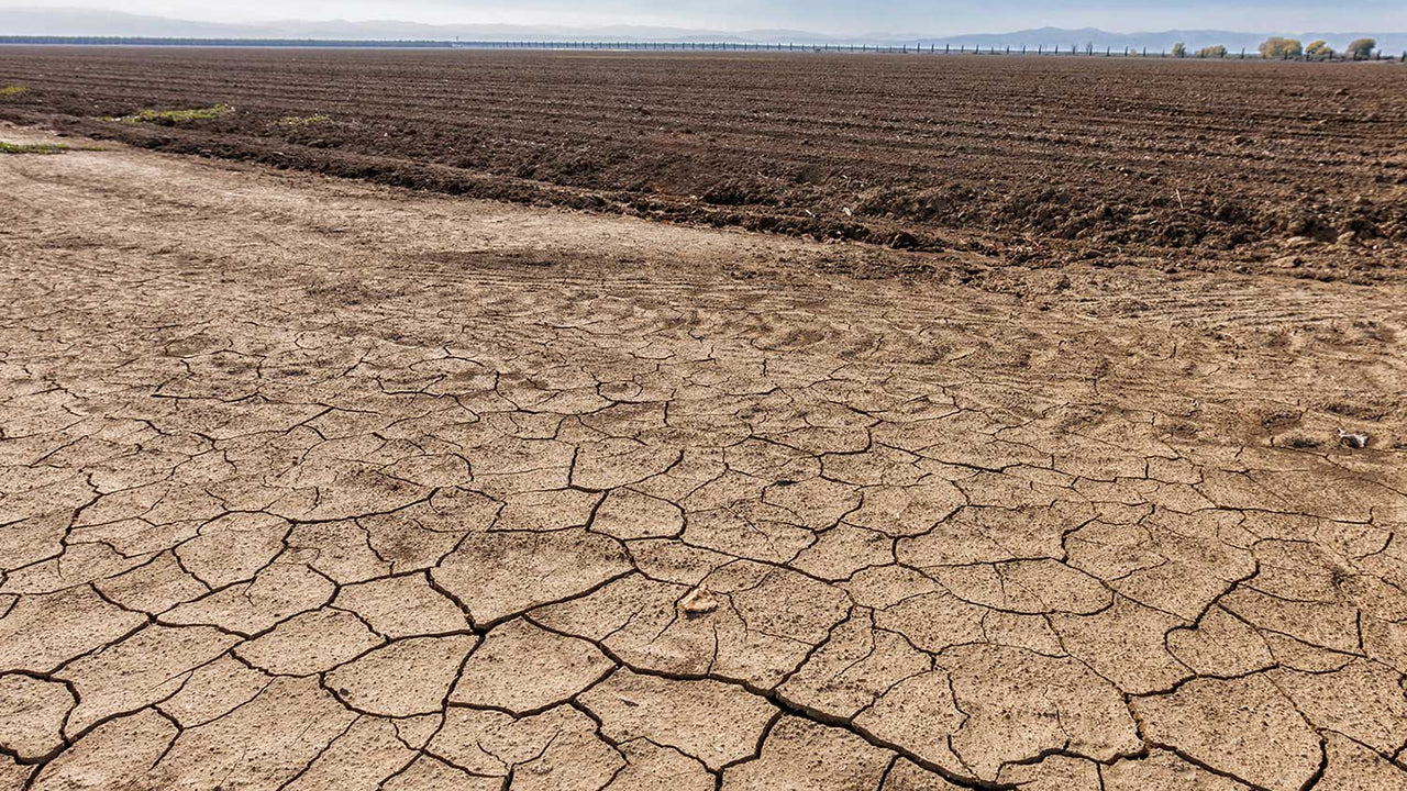 Shot of dry, cracked soil on the edge of a fallow field