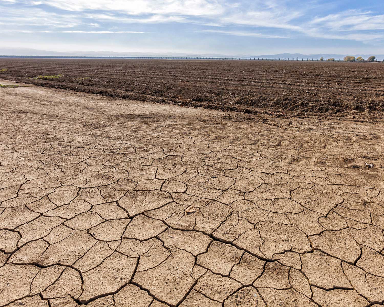 What Is No-Till Farming? | Patagonia Provisions