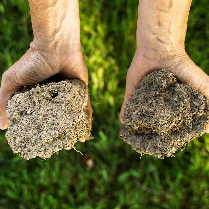 What Is No-Till Farming? | Patagonia Provisions