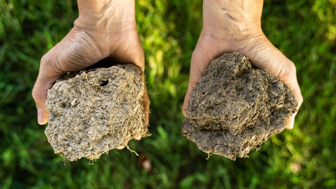Hands holding a clump of dry soil and a clump of organic, rich soil