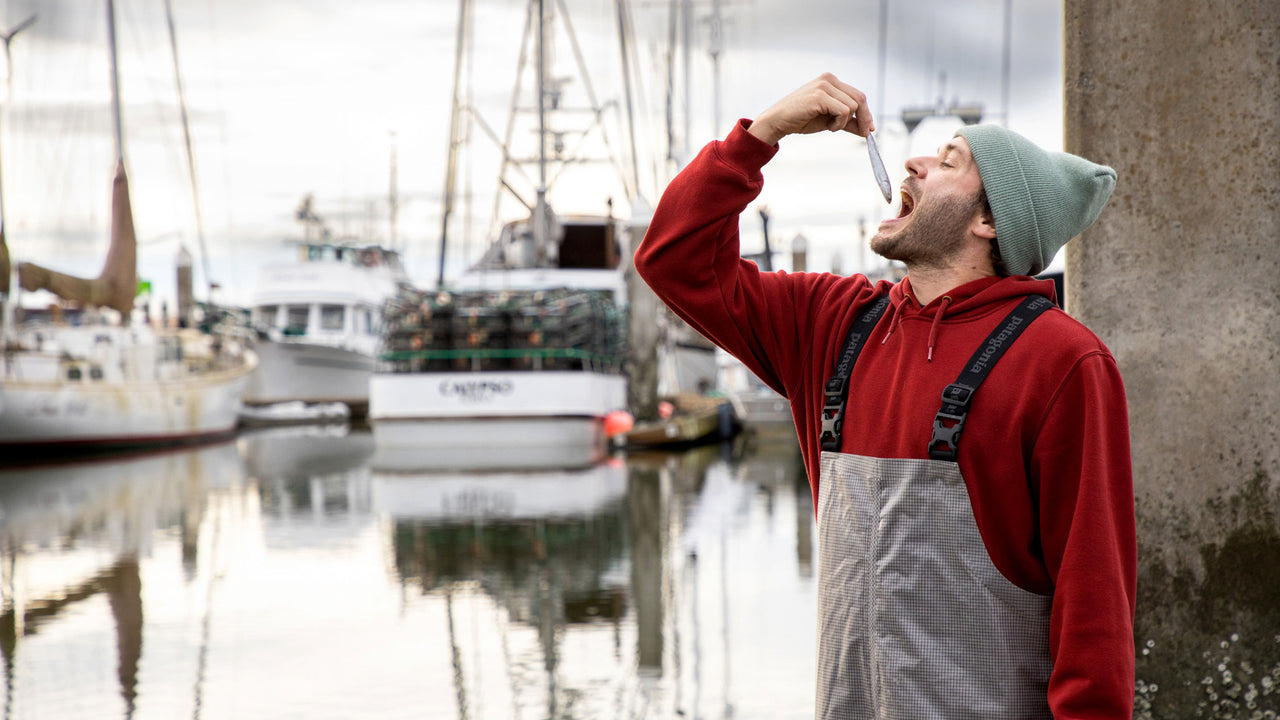 A worker in overalls, red hooded sweatshirt and light green woolen cap holds up an anchovy and looks ready to bite it