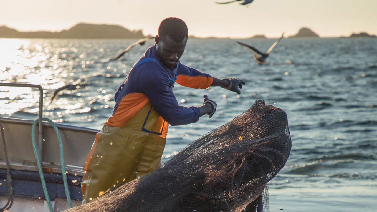 A crew member in yellow overalls and blue and orange shirt hauls a net over the edge of a boat into the sea, while gulls circle around