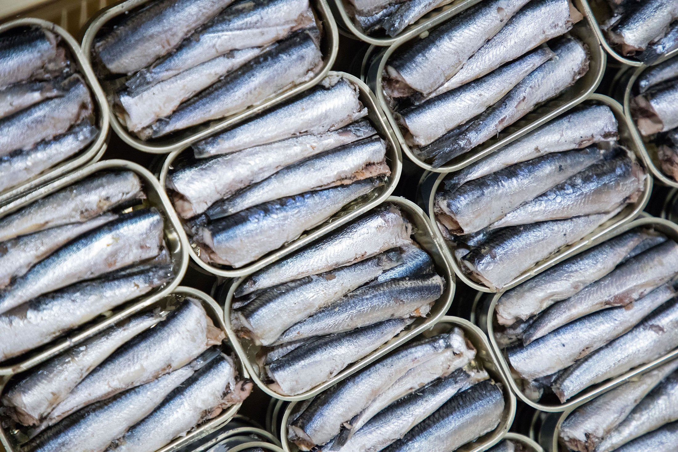 Open cans filled with Patagonia Provisions White Spanish Anchovies