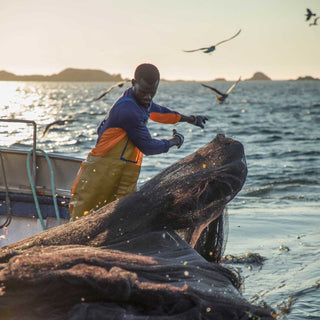 A worker fishing for Anchovies used in Patagonia Provisions Spanish White Anchovies products hauls a net over the side of a boat as gulls circle around